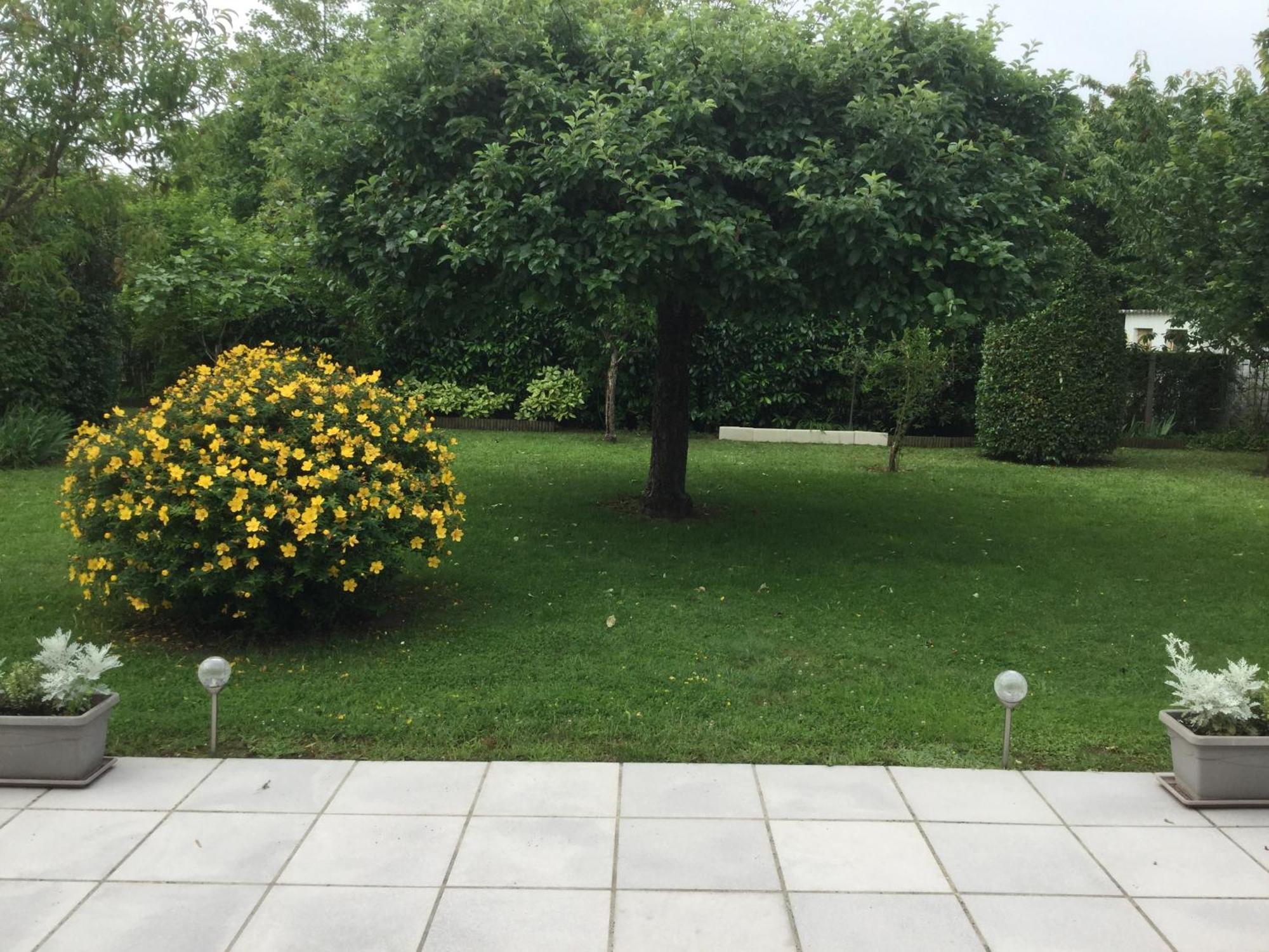 Le Hameau Du Moulin A Vent Hotel Saint-Avertin Eksteriør billede